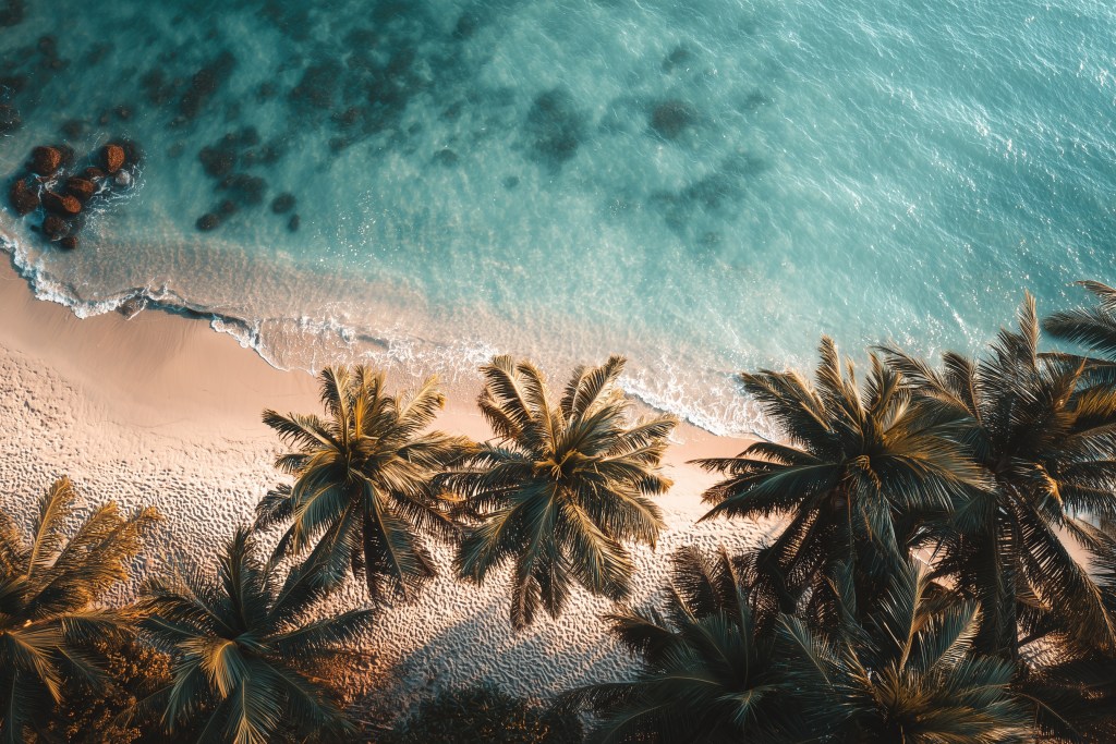 Brand color ariel beach